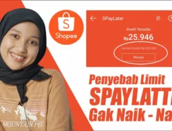 Kenapa Limit Shopee PayLater Hanya 100 Ribu?