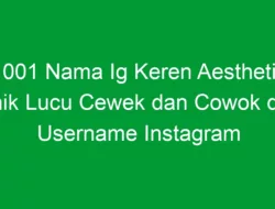 1001 Nama Ig Keren Aesthetic Unik Lucu Cewek dan Cowok dan Username Instagram