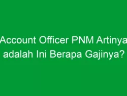 Account Officer PNM Artinya adalah Ini Berapa Gajinya?