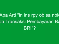 Apa Arti “ln ins rpy ob sa nbk pada Transaksi Pembayaran Bank BRI”?