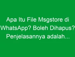 Apa Itu File Msgstore di WhatsApp? Boleh Dihapus? Penjelasannya adalah…