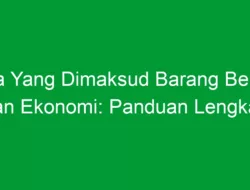 Apa Yang Dimaksud Barang Bebas dan Ekonomi: Panduan Lengkap