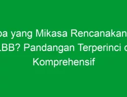 Apa yang Mikasa Rencanakan di MLBB? Pandangan Terperinci dan Komprehensif