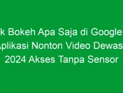 Apk Bokeh Apa Saja di Google Ini Aplikasi Nonton Video Dewasa 2024 Akses Tanpa Sensor