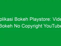 Aplikasi Bokeh Playstore: Video Bokeh No Copyright YouTube