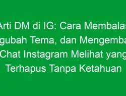 Arti DM di IG: Cara Membalas, Mengubah Tema, dan Mengembalikan Chat Instagram Melihat yang Terhapus Tanpa Ketahuan