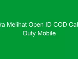 Cara Melihat Open ID COD Call of Duty Mobile