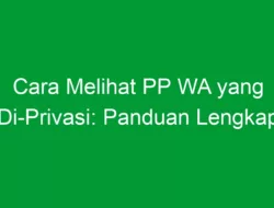 Cara Melihat PP WA yang Di-Privasi: Panduan Lengkap