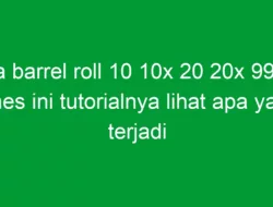 do a barrel roll 10 10x 20 20x 99999 times ini tutorialnya lihat apa yang terjadi