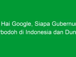 Hai Google, Siapa Gubernur Terbodoh di Indonesia dan Dunia?