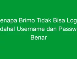 Kenapa Brimo Tidak Bisa Login Padahal Username dan Password Benar