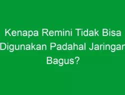 Kenapa Remini Tidak Bisa Digunakan Padahal Jaringan Bagus?