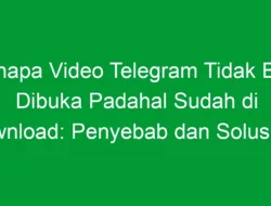 Kenapa Video Telegram Tidak Bisa Dibuka Padahal Sudah di Download: Penyebab dan Solusinya