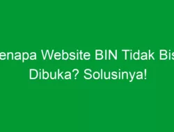 Kenapa Website BIN Tidak Bisa Dibuka? Solusinya!