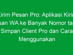 Kirim Pesan Pro: Aplikasi Kirim Pesan WA ke Banyak Nomor tanpa Simpan Client Pro dan Cara Menggunakan