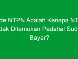 Kode NTPN Adalah Kenapa NTPN Tidak Ditemukan Padahal Sudah Bayar?