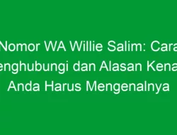 Nomor WA Willie Salim: Cara Menghubungi dan Alasan Kenapa Anda Harus Mengenalnya