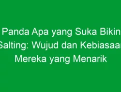 Panda Apa yang Suka Bikin Salting: Wujud dan Kebiasaan Mereka yang Menarik