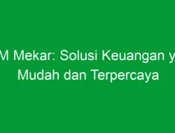 PNM Mekar: Solusi Keuangan yang Mudah dan Terpercaya