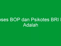 Proses BOP dan Psikotes BRI Life Adalah