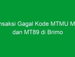 Transaksi Gagal Kode MTMU MT99 dan MT89 di Brimo