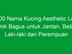 1000 Nama Kucing Aesthetic Lucu Unik Bagus untuk Jantan, Betina, Laki-laki dan Perempuan