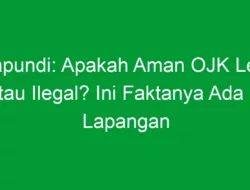 Adapundi: Apakah Aman OJK Legal atau Ilegal? Ini Faktanya Ada di Lapangan