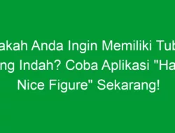 Apakah Anda Ingin Memiliki Tubuh yang Indah? Coba Aplikasi “Have Nice Figure” Sekarang!