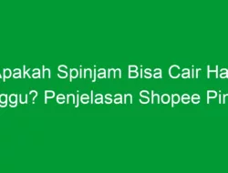 Apakah Spinjam Bisa Cair Hari Minggu? Penjelasan Shopee Pinjam