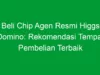 Beli Chip Agen Resmi Higgs Domino: Rekomendasi Tempat Pembelian Terbaik