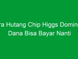 Cara Hutang Chip Higgs Domino di Dana Bisa Bayar Nanti