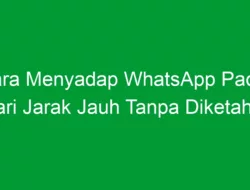 Cara Menyadap WhatsApp Pacar dari Jarak Jauh Tanpa Diketahui