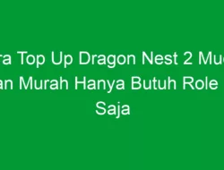 Cara Top Up Dragon Nest 2 Mudah dan Murah Hanya Butuh Role ID Saja