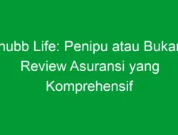 Chubb Life: Penipu atau Bukan? Review Asuransi yang Komprehensif