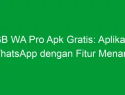 GB WA Pro Apk Gratis: Aplikasi WhatsApp dengan Fitur Menarik