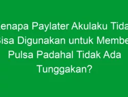 Kenapa Paylater Akulaku Tidak Bisa Digunakan untuk Membeli Pulsa Padahal Tidak Ada Tunggakan?