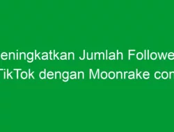 Meningkatkan Jumlah Followers TikTok dengan Moonrake com