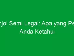 Pinjol Semi Legal: Apa yang Perlu Anda Ketahui