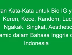 Saran Kata-Kata untuk Bio IG yang Keren, Kece, Random, Lucu, Ngakak, Singkat, Aesthetic, Islamic dalam Bahasa Inggris dan Indonesia