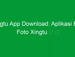 Xingtu App Download: Aplikasi Edit Foto Xingtu 醒 图